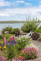 An exposed seaside front garden overlooking Widewall Bay on South Ronaldsay, UK. 