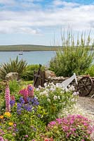 An exposed seaside front garden overlooking Widewall Bay on South Ronaldsay, UK.
