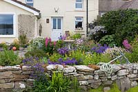 A seaside front garden planted with a flowerbed full of flowering annuals and perennials and a stone wall.