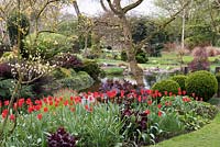 Well-kept garden with neat beds of red tulips and purple foliage beside pond, trees and other shrubs in background