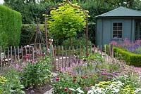 View over cut mixed flower beds through metal arch and picket fence to an Catalpa bignonioides - 
Indian bean tree and blue summerhouse