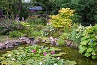 A stone-edged waterlily pond planted with various bog plants such as Rheum, Hosta, Iris
