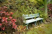 Blue bench in tropical garden
