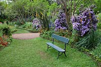 Bench and Brunfelsia pauciflora. Palheiro's garden, Funchal, Madeira