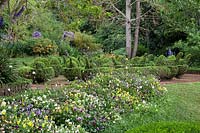 Flowering borders and clipped hedges. Palheiro's Garden, Funchal Madeira