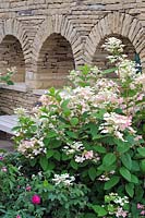 Arched dry-Stone wall with lace cap hydrangea. BBC North West Garden, RHS Tatton Park  