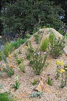 Gravel pyramid with drought tolerant plants. The Oasis Garden. RHS Tatton Park 