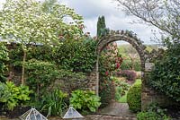 View of Cornus 'Eddie's White Wonder' beside a brick entrance arch with view to a Camellia and spring borders beyond.