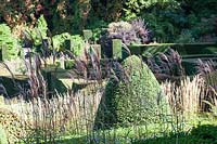 Calamagrostis x acutiflora 'Overdam' and clipped topiary at Veddw House Garden, Monmouthshire, Wales, UK.