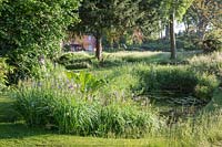 View of pond at David and Loretta Harrison's Garden, Norfolk, UK. 