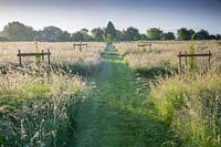 Mown path in wild meadow, Norfolk, UK. 