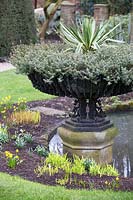 Yucca gloriosa 'Variegata' and  Hebe 'Wingletye' in black urn at York Gate Garden, Leeds, UK. 