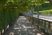 Shaded vine covered path beside moat at Chateau de Villandry, Loire Valley, France