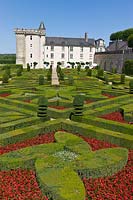 Clipped Buxus sempervirens in Ornamental Garden at Chateau de Villandry, Loire Valley, France