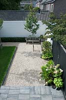 View of gravelled area of garden, with benches, young tree and potted shrubs. 