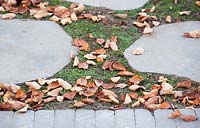 View of fallen autumn leaves litter the grass between stepping stones. 