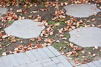 Stepping stones and leaves