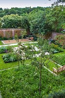 Overview of wild flower turf and fruit trees.  Garden designed by Peter Reader Landscapes.