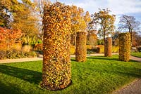 Clipped columns of Fagus sylvatica - Common Beech - at the Bicentenary Glasshouse Garden, RHS Garden Wisley, designed by Tom Stuart Smith.