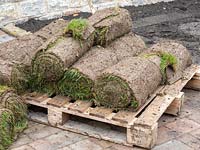 Rolls of grass turf ready for laying 