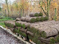 Rolls of grass turf ready for laying 