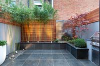 Phyllostachys bissetii and steel water wall with outside lighting, London