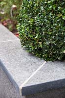 Corner of raised stone integral bed with clipped Buxus sempervirens