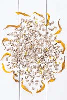 Helianthus annuus 'Titan'- Sunflower 'Titan' seeds and dried petals. 