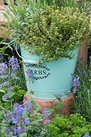 Herb bucket full of garden herbs on a display at a flower show. 