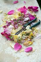Snips and deadheaded rose petals on stone surface. 
