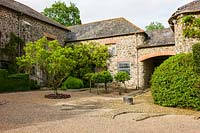 View of gravel courtyard garden with evergreen trees and shrubs including Arbutus and Magnolia, Plaz Metaxu Garden, Devon, UK. 