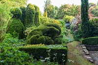 Clipped Yew topiary in the old walled garden. Plaz Metaxu Garden, Devon, UK. 