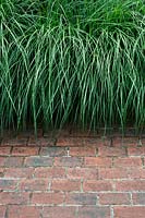 Miscanthus Sinensis 'Little Kitten' grass and red brick path.