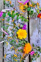 Edible flowers on wooden surface: Monarda, Chamomilla, Marigold, Oregano, Lavender, Fennel, Agastache, Mint.