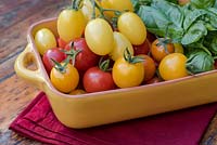 Cherry tomatoes 'Golden Sunrise', 'Sungold' and 'Gardener's Delight' with basil.