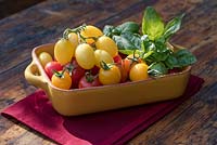 Cherry tomatoes 'Golden Sunrise', 'Sungold' and 'Gardener's Delight' with  basil leaves.