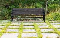 Crabgrass in paving with bench, Centre de la Nature, Laval, Quebec, Canada