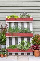 Upcycled pallet with herbs and plant pots.