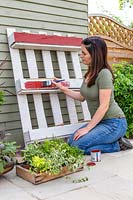 Painting white pallet planter red.