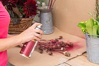 Woman spray painting dried poppy seedheads, using cardboard to capture excess spray