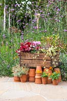 Planted up wooden crate filled with a mixture of colourful plants, backed
 by flowering Verbena bonariensis with stacks of terracotta pots in front