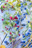 Close up of cut stems with berries and sloes for including in wreath