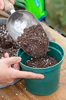 Woman scooping free-draining soil into green plastic plant pot.