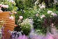 Rose 'Wildeve' in terracotta container surrounded by Salvia nemorosa 'Caradonna'
 Rosa 'Queen of Sweden',  Salvia â€” jamensis 'Heatwave Glimmer'. 
Best of Both Worlds garden 
RHS Hampton Court Palace Flower Show 2018