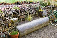 Stone cylinder turned seat in stone faced bank with cyclamen, Devon, UK