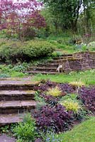 Heuchera villosa 'Palace Purple' with variegated carex beside steps with pig, Ross-on-Wye