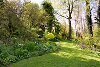 Shadows on grass with borders of perennials, bulbs and shrubs with mature trees, Ross-on-Wye, Herefordshire