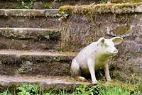 Stone pig on steps, Ross-on-Wye, Herefordshire