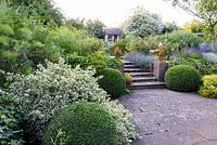Clipped box spheres at terrace steps with euonymus, fatsia and fennel, Kent