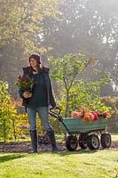Woman pulling cart of autumn flowers